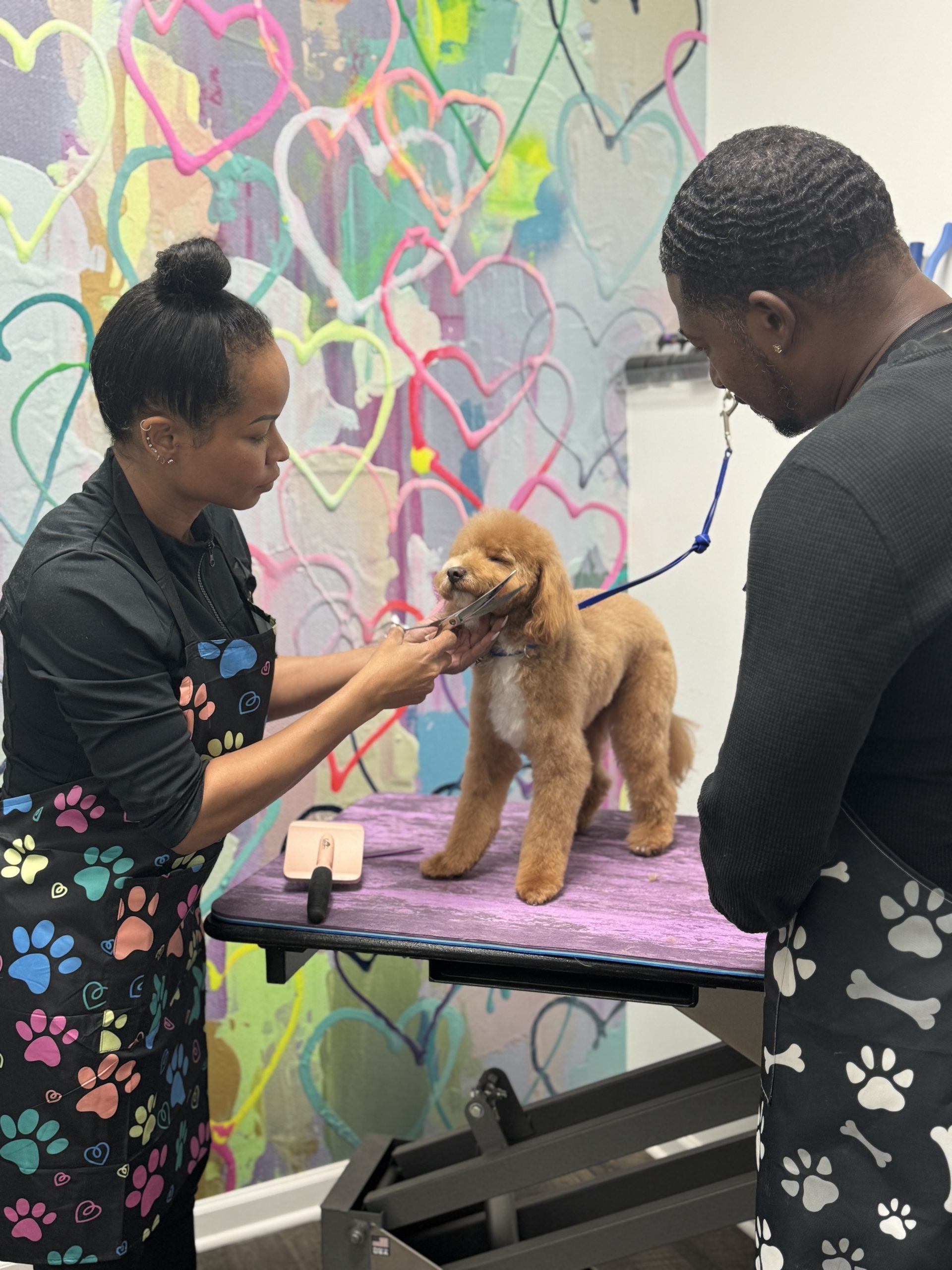 Photo inspiration: Visual Reference: Dog Grooming Apprenticeship Program Atlanta Ga