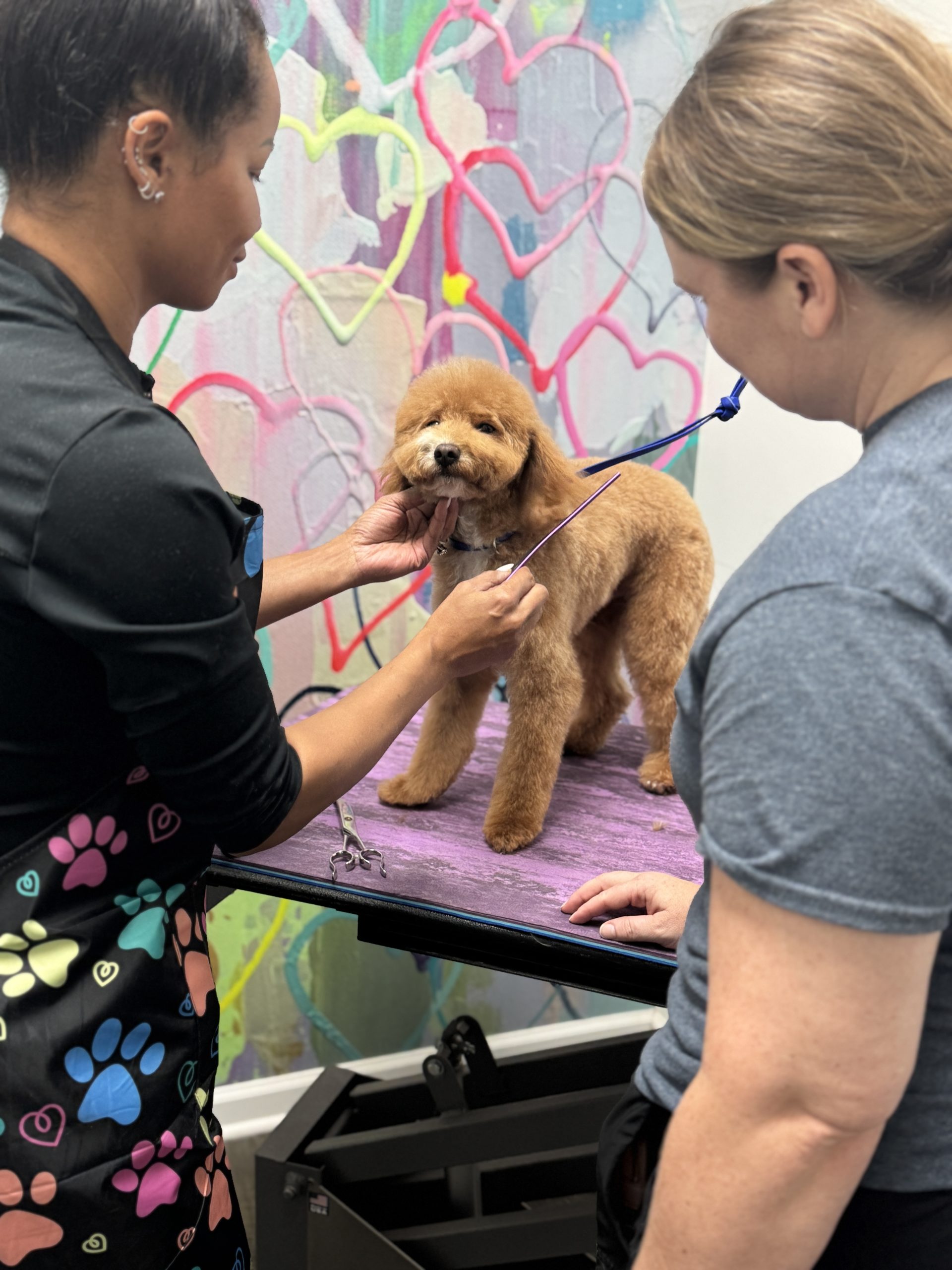 Atlanta Dog Grooming Services - Jazzy Pawz - Dog Bath